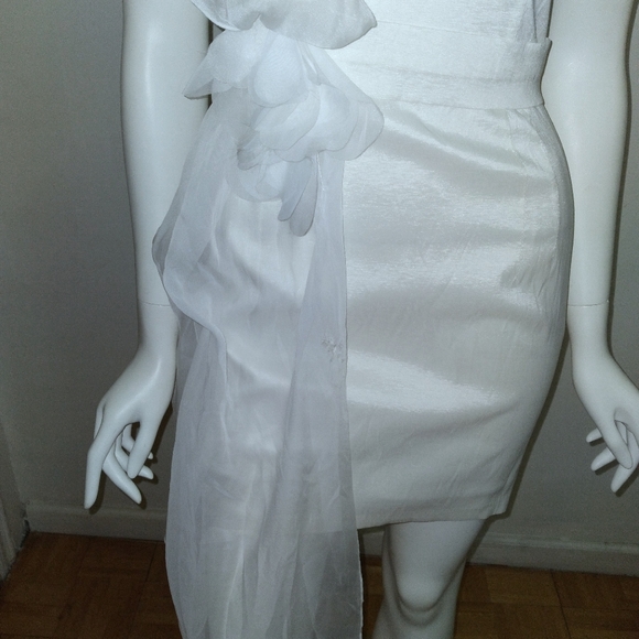 SEXY and ROMANTIC JESSICA MCCLINTOCK DRESS - Picture 3 of 7